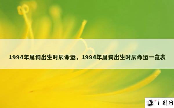 1994年属狗出生时辰命运，1994年属狗出生时辰命运一览表