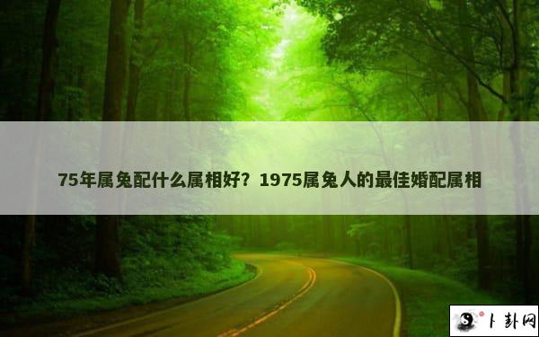 75年属兔配什么属相好？1975属兔人的最佳婚配属相