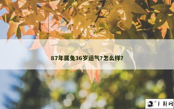 87年属兔36岁运气?怎么样？