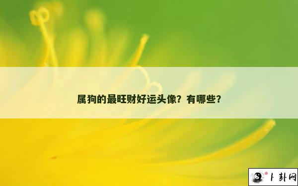 属狗的最旺财好运头像？有哪些？