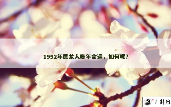 1952年属龙人晚年命运，如何呢？