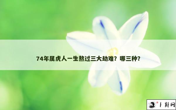 74年属虎人一生熬过三大劫难？哪三种？