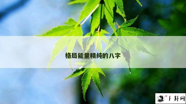 格局能量精纯的八字