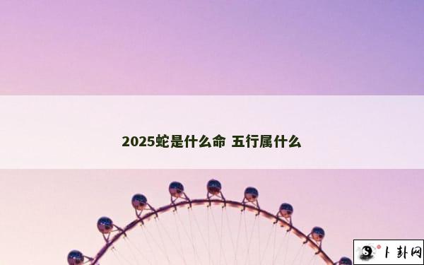 2025蛇是什么命 五行属什么