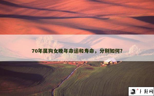 70年属狗女晚年命运和寿命，分别如何？