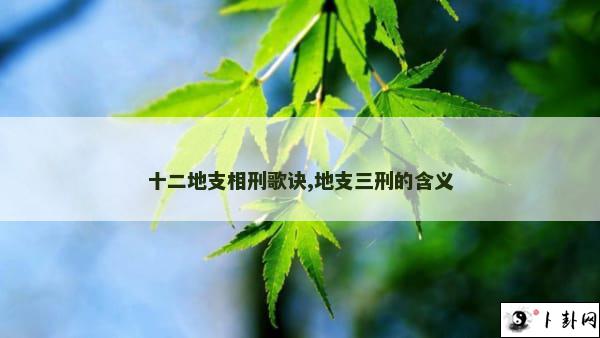 十二地支相刑歌诀,地支三刑的含义