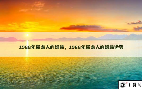 1988年属龙人的姻缘，1988年属龙人的姻缘运势