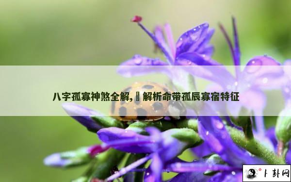 八字孤寡神煞全解,​解析命带孤辰寡宿特征