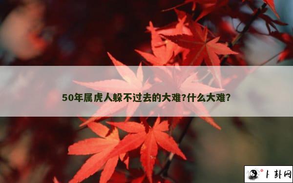 50年属虎人躲不过去的大难?什么大难？