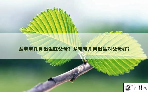 龙宝宝几月出生旺父母？龙宝宝几月出生对父母好？