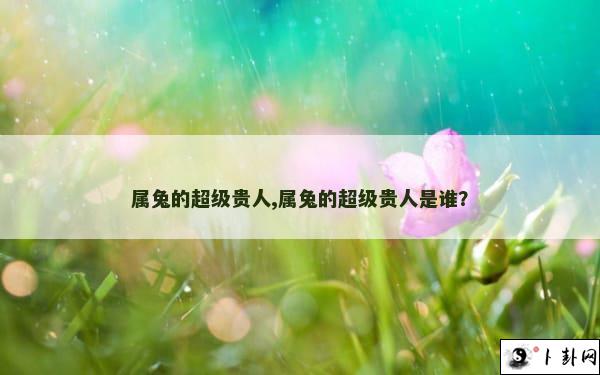 属兔的超级贵人,属兔的超级贵人是谁？