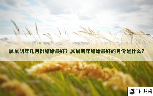 属鼠明年几月份结婚最好？属鼠明年结婚最好的月份是什么？