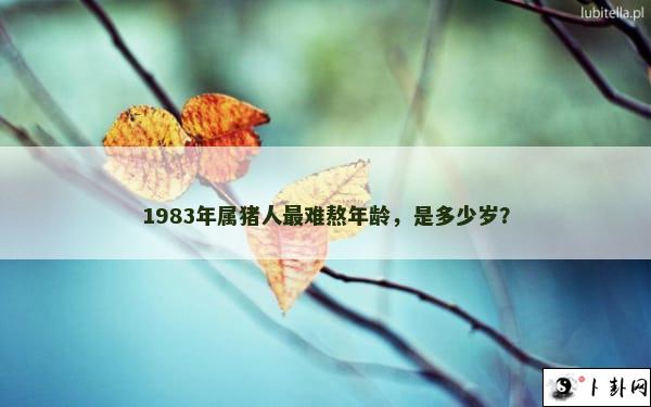 1983年属猪人最难熬年龄，是多少岁？