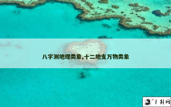 八字测地理类象,十二地支万物类象