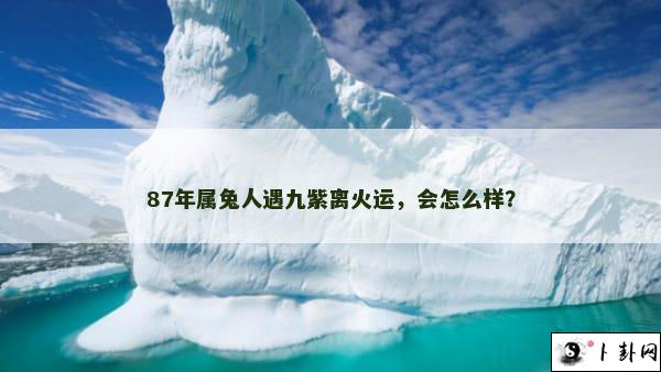 87年属兔人遇九紫离火运，会怎么样？