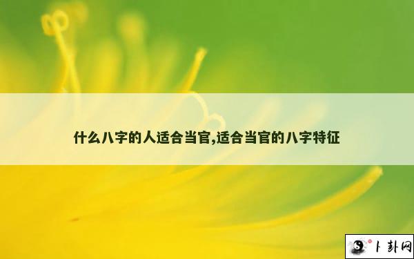 什么八字的人适合当官,适合当官的八字特征