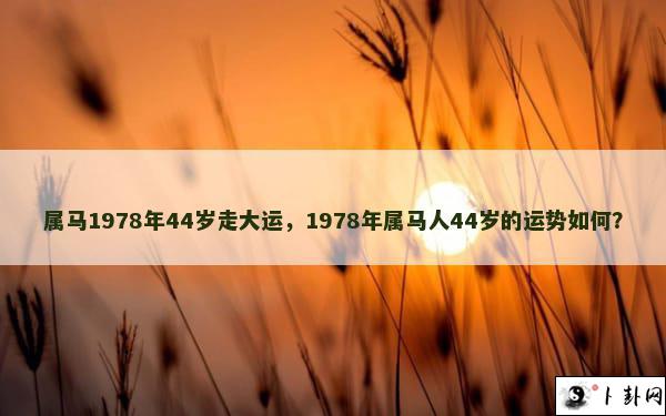 属马1978年44岁走大运，1978年属马人44岁的运势如何？