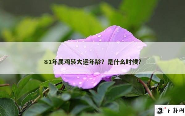 81年属鸡转大运年龄？是什么时候？