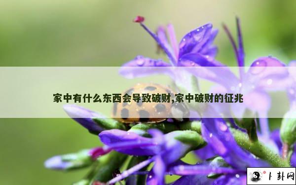 家中有什么东西会导致破财,家中破财的征兆