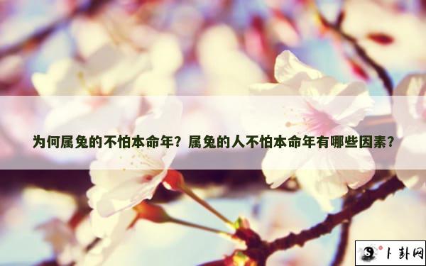 为何属兔的不怕本命年？属兔的人不怕本命年有哪些因素？