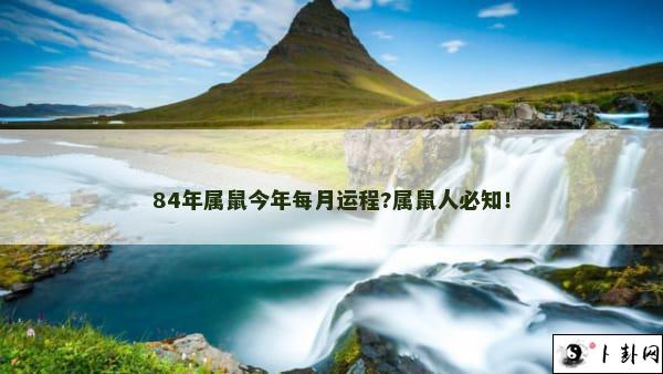 84年属鼠今年每月运程?属鼠人必知！