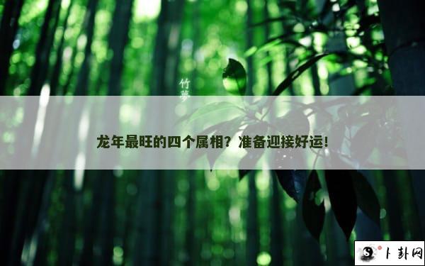 龙年最旺的四个属相？准备迎接好运！