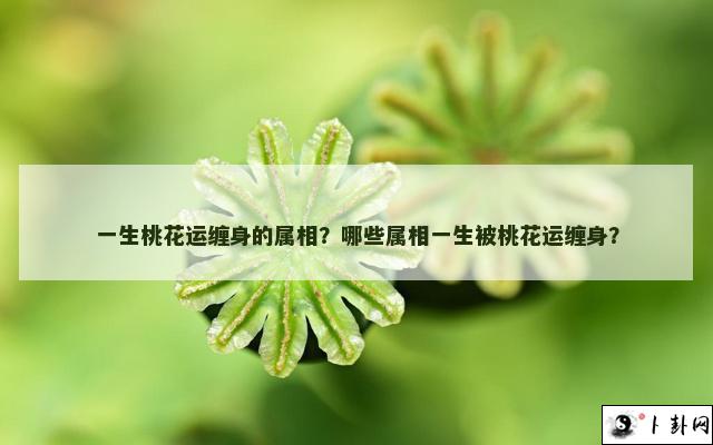 一生桃花运缠身的属相？哪些属相一生被桃花运缠身？