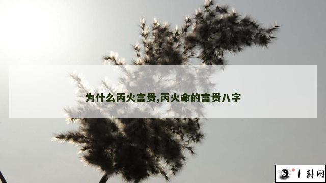 为什么丙火富贵,丙火命的富贵八字